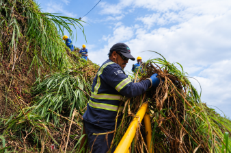 Trabajador con pasto en la mano